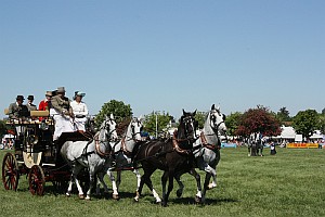 Kutschenshow