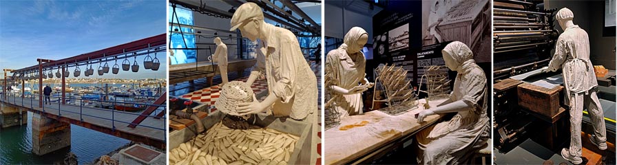 kongress sardinen 900